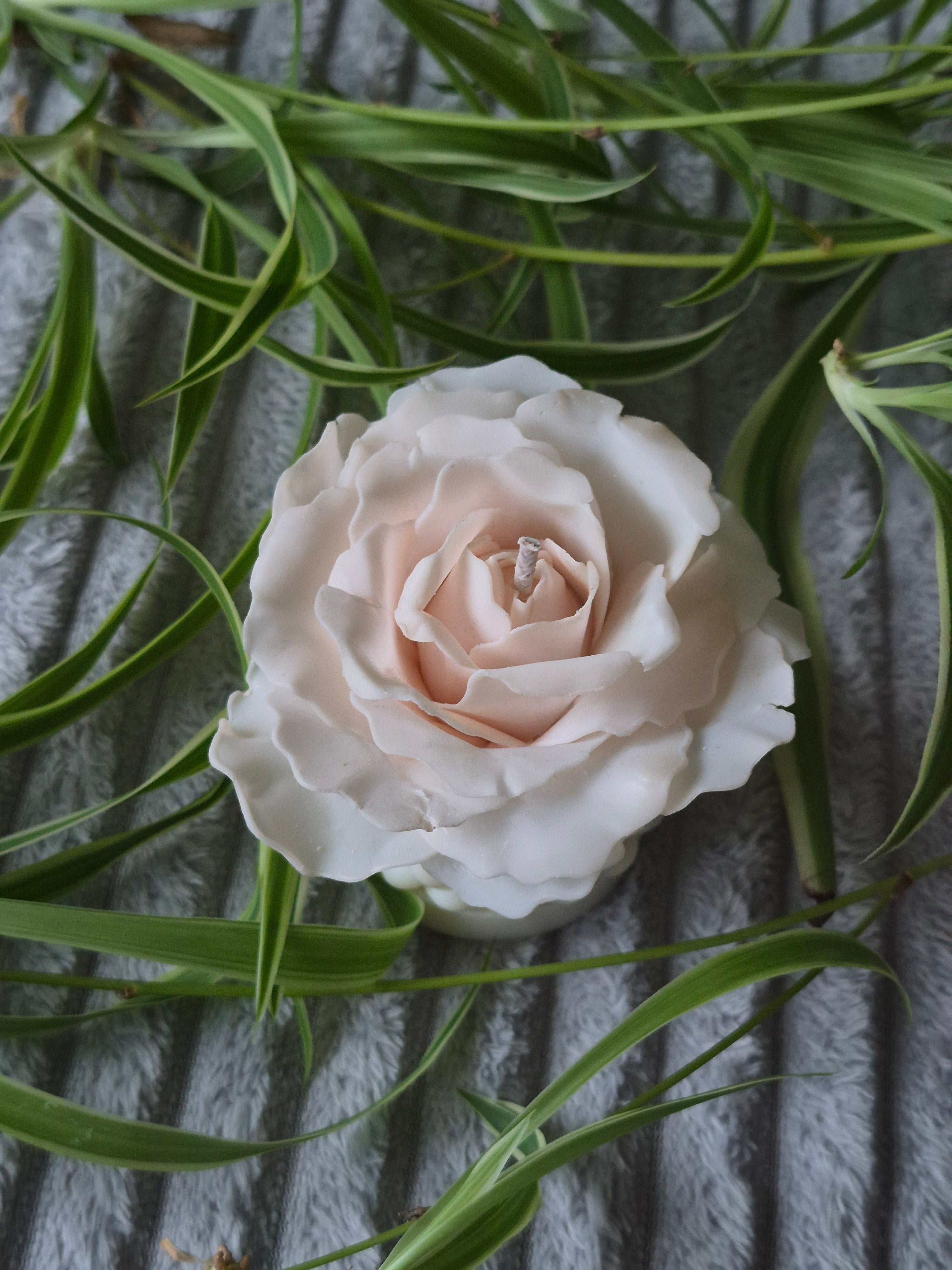Handmade Beeswax Rose Candle – Ivory